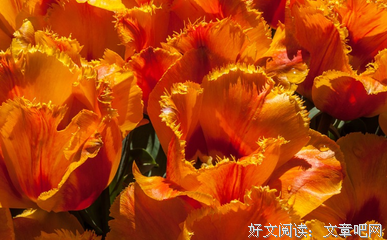 含蓄的人骂架准输｜单读专栏
