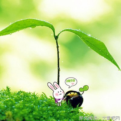 欢喜名句欣赏