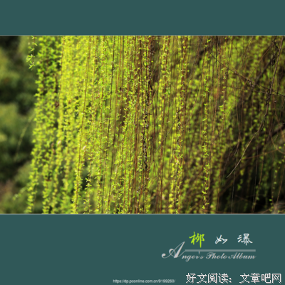 2019柳如痴名言大全