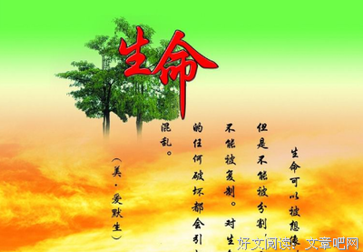 有关起承转合的美句摘抄
