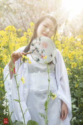 长歌行的优美句子