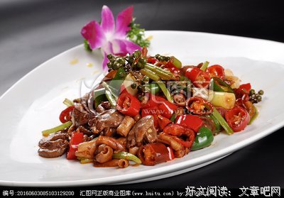 脆皮鸭(杂)的优美句子