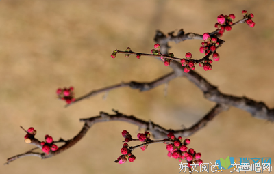 关于灵魂的优美句子