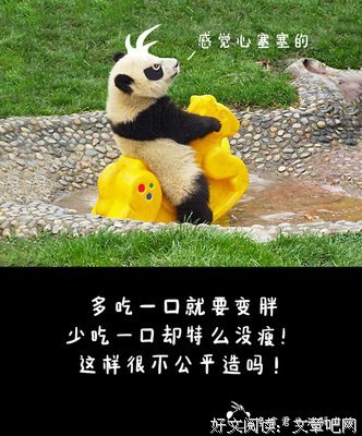 待君归句子
