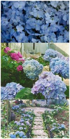 辞职隐居终南山的姑娘因付不起房租回来了：你我皆凡人，何苦去修