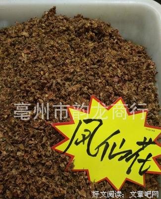 凤仙的语句摘抄_关于凤仙的语句
