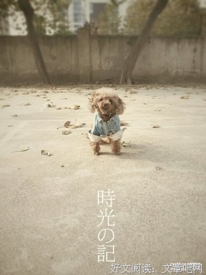 “那个你很喜欢的人。”