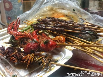 《人生一串 第二季》影评10篇