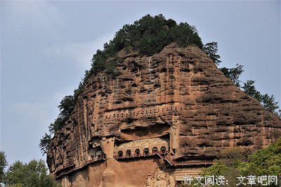 《狮野寻踪》读后感10篇