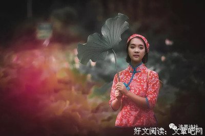 毛羽的名言_关于毛羽的名言