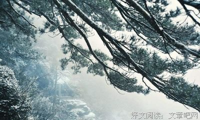 关于高洁的格言