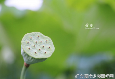 关于披荆斩棘的语句