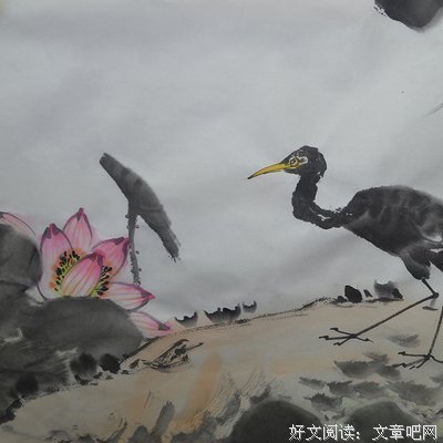 关于夏清的格言
