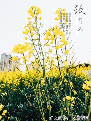 嘉人的优美句子