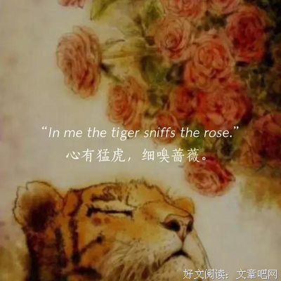 关于鸡皮嘎里路的优美句子