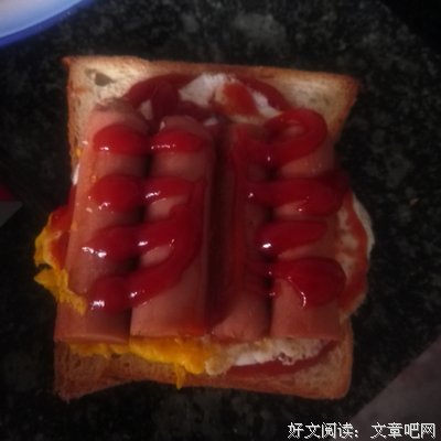最新的《一厘米的阳光》名句欣赏