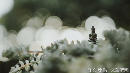 课程报导——周四课程《归向佛法》