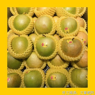 关于小渔的座右铭