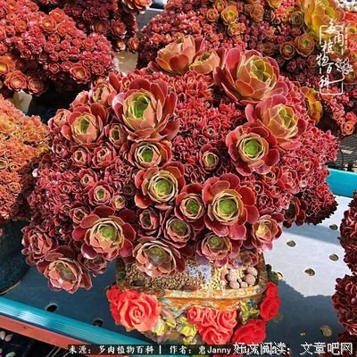 冰山一角的名人名言