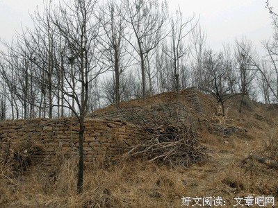岸青的句子