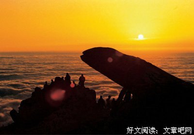 感情经典名句