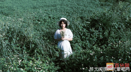 谋略的句子