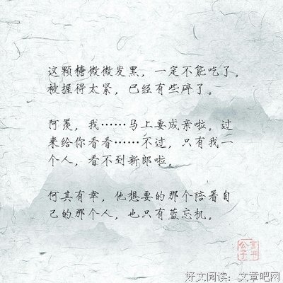 忘羡句子大全