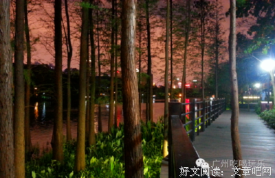 《用安静对抗枯燥 用沉淀驱走浅薄》的句子
