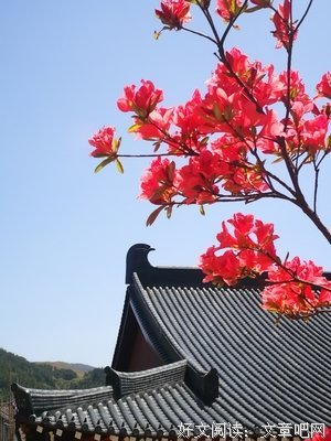 关于释怀，舍得，知足，简单，珍稀，宽恕的句子