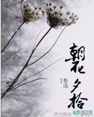 关于周树人（鲁迅）的优美句子