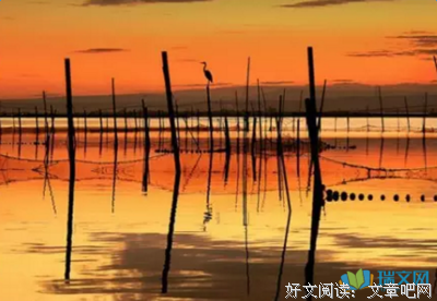 关于哲理的句子