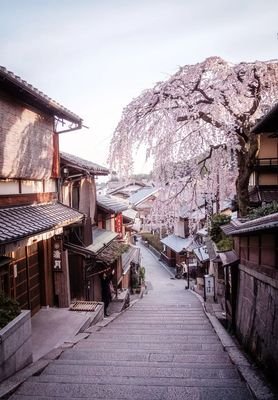 全世界只有她一个人想好好地谈场恋爱