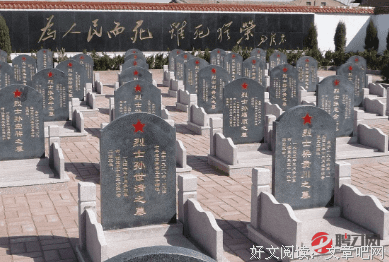 《忘不了餐厅》观后感精选10篇
