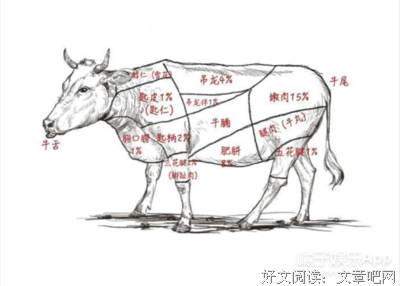 知乎上的高赞答案，背后居然…