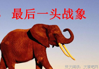 《肠子的小心思》读后感10篇