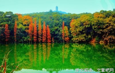 关于清幽名言名句