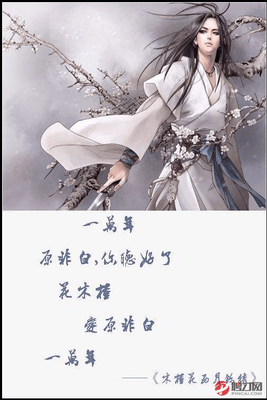 小说的优美句子