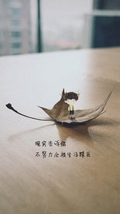 一心句子大全
