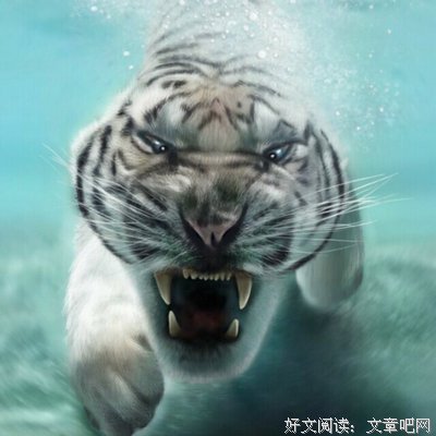 关于抒情伤感古风的句子