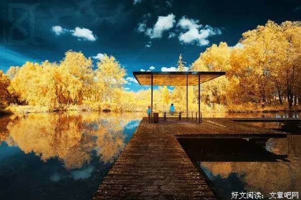有一种美丽叫：淡到极致 