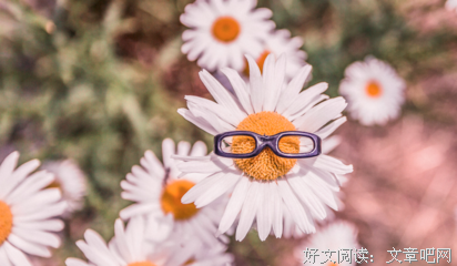 有关眼高手低的美句摘抄