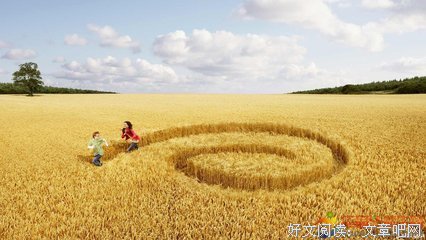 描写韶华落的经典句子