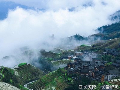 子规实发第物和雨如烟经典的句子