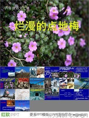 梅的句子