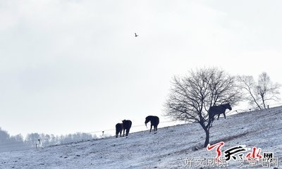 我曾踏我下格每于眼天不开来，只中觉却你在天水中。名句欣赏