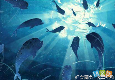 大鱼海棠的句子