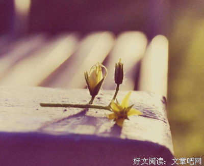 自我优美的句子