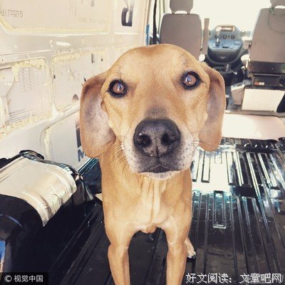 一口气交了好几万房租