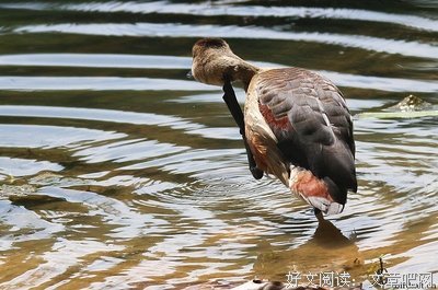 关于洗耳恭听的格言