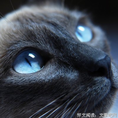 关于鲁国的格言